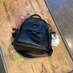 バッグ Yu, duitsland. がiLostで Gemeente Amsterdam によって報告されました