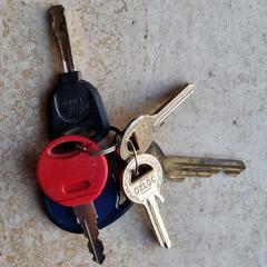 Sleutelbos, como reportado ao iLost