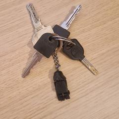 Sleutels met darth vader sleutelhanger, as reported to iLost