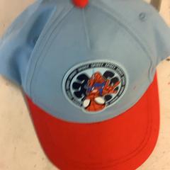 Casquette Blauw, a été signalé par Artis utilisant iLost