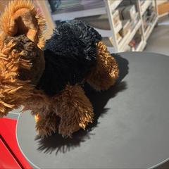 Plyšák plysak, como reportado por IKEA Brno utilizando o iLost