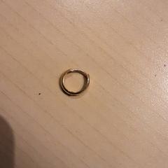 Kolczyk, zgłoszono przez LUMC przy użyciu iLost