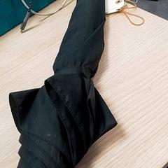 مظلة Groen، كما تم الإبلاغ عنه بواسطة Qbuzz Fryslân عبر iLost