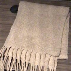 Schal Beige, gemeldet von Van der Valk Hotel Zwolle über iLost
