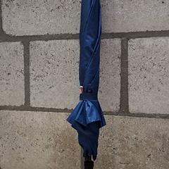 Parapluie, a été signalé par Arriva Oost-Brabant utilisant iLost