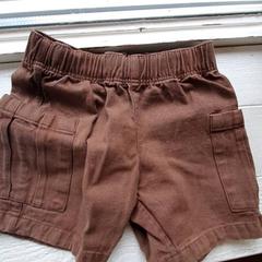 Shorts Bruin, segundo informou DierenPark Amersfoort usando iLost