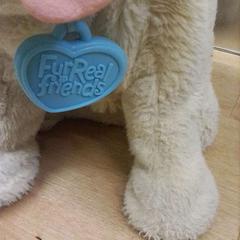 Brinquedo para cão, como reportado por IKEA Valladolid utilizando o iLost