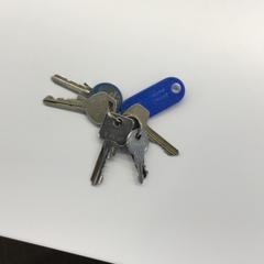 Giltza-giltza Blauw label, gisa salatu by Gemeente Weert iLost erabiliz
