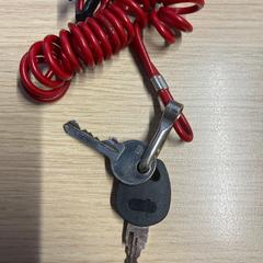 İLost kullanarak Pathé Amsterdam Noord tarafından bildirildiği gibi Sleutelbos