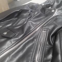 Jack, zwart, ako bolo nahlásené Arriva Friesland / Groningen pomocou iLost