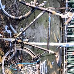 Férfi kerékpár Batavus, amint azt Stadswerk072 az iLost segítségével jelentette.