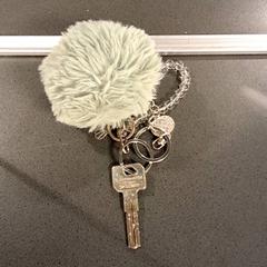 Giltza-giltza, gisa salatu by Breng Nijmegen iLost erabiliz