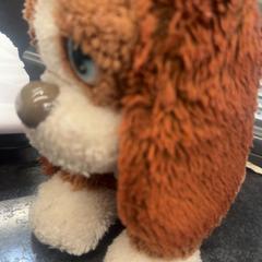 Knuffel, as reported by Rotterdam The Hague Airport using iLost