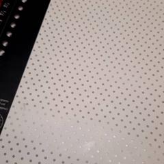 Stan, jak nahlášeno UvA REC pomocí iLost