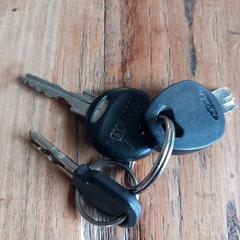 Sleutelbos (3 sleutels), amint azt az iLostnak jelentették.