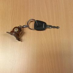 Sleutel met sleutelhanger duikhelm がiLostで Pouw Vervoer によって報告されました