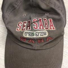 Czapka baseballowa, zgłoszono przez Hotel van der Valk Maastricht przy użyciu iLost