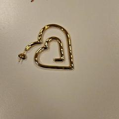 Náušnica, ako bolo nahlásené Vrije Universiteit Amsterdam pomocou iLost