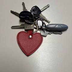 Giltzak, gisa salatu by Connexxion Haarlem IJmond iLost erabiliz