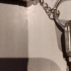 Sleutel, zoals gemeld door De Efteling met iLost