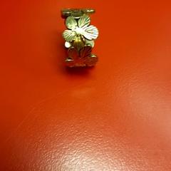 Ring, as reported by UvA REC using iLost