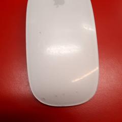 Maus, gemeldet von UvA REC über iLost