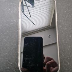 Iphone, as reported to iLost