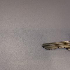 Sleutelbos, como reportado por Walibi Holland utilizando o iLost