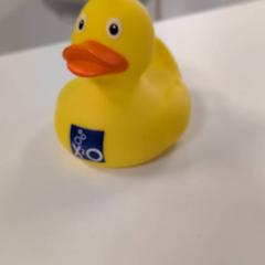 Joguina, segons ha informat IKEA Amsterdam mitjançant iLost