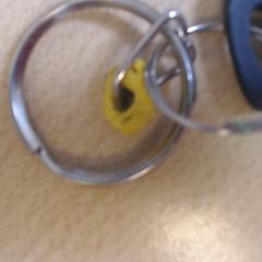 Clau, segons ha informat Walibi Holland mitjançant iLost