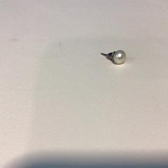 Ørering, som rapportert av Gemeente Veenendaal ved bruk av iLost