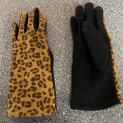 Handschoenen, segons ha informat Connexxion Amstelland-Meerlanden Amstelveen mitjançant iLost