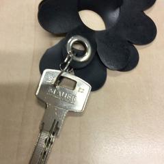 Llave Huissleutel, ha sido reportado por Haaglanden Medisch Centrum con iLost