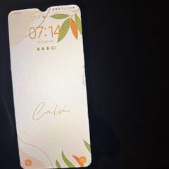 Mobiele telefoon, como reportado ao iLost