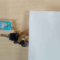 Chaves, como reportado por Regio Oost-Vlaanderen utilizando o iLost