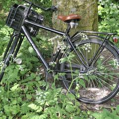 Fiets, som rapporterats till iLost