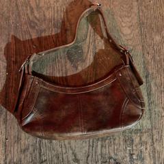 Táska Bruin, amint azt De Heeren van Aemstel az iLost segítségével jelentette.