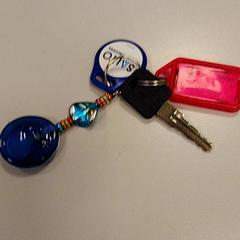 Kulcs, amint azt Vrije Universiteit Amsterdam az iLost segítségével jelentette.