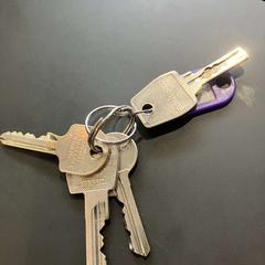 Llavero, ha sido reportado por Gemeente Ermelo con iLost