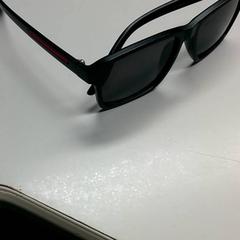 Sunglasses Zwart, as reported by Burgers' Zoo using iLost