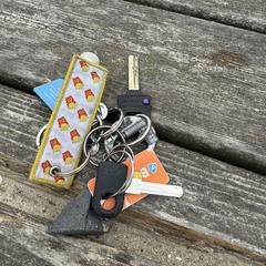 Sleutelbos, jak bylo nahlášeno na iLost