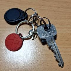 Kulcstartó, amint azt Gemeente Roermond az iLost segítségével jelentette.