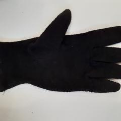 Handschuh, gemeldet von Centraal magazijn über iLost