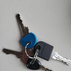 Sleutelbos, amint azt az iLostnak jelentették.