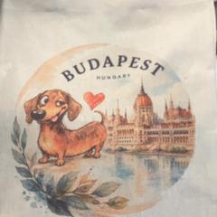 Väska Tote bag, rapporterat av MEININGER Hotel Budapest Great Market Hall med iLost