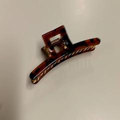 Hajcsat, amint azt Vrije Universiteit Brussel (VUB) az iLost segítségével jelentette.