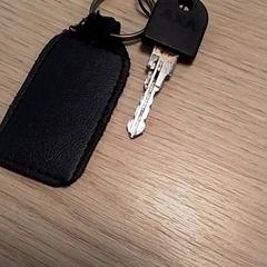 Clé, a été signalé par Qbuzz Fryslân utilisant iLost