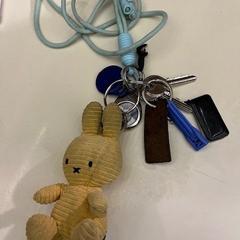 Chaveiro Sleutelbos, como reportado por Alrijne Leiden utilizando o iLost