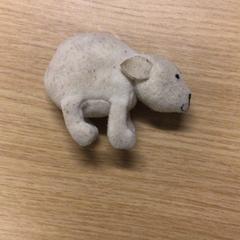 Knuffel, segundo informou Canisius-Wilhelmina Ziekenhuis usando iLost