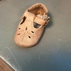 Schoen, amint azt Diergaarde Blijdorp az iLost segítségével jelentette.